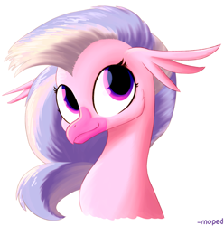 Size: 6371x6429 | Tagged: safe, artist:moped_cirrus, silverstream, hippogriff, g4, absurd resolution, bust, cute, diastreamies, female, looking up, portrait, simple background, smiling, solo, white background