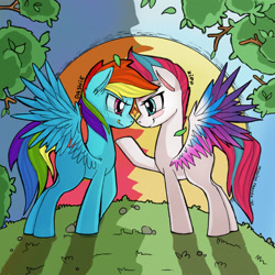 Size: 1920x1920 | Tagged: safe, artist:redi, rainbow dash, zipp storm, pegasus, pony, g5, blushing, colored wings, duality, eye contact, female, grass, grin, leaning forward, looking at each other, looking at someone, mare, multicolored wings, raised hoof, shadow, signature, smiling, smiling at each other, spread wings, sun, tree, wings