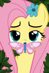 Size: 3000x4500 | Tagged: safe, artist:dersen, discord, fluttershy, butterfly, pegasus, pony, mlp fim's twelfth anniversary, g4, the return of harmony, butterfly on nose, insect on nose, parody, silence of the lambs