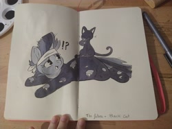 Size: 4000x3000 | Tagged: safe, artist:cutepencilcase, twilight sparkle, cat, pony, unicorn, g4, black cat, exclamation point, future twilight, interrobang, open mouth, question mark, solo, traditional art, unicorn twilight