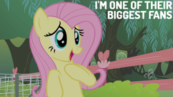 Size: 1920x1080 | Tagged: safe, edit, edited screencap, editor:quoterific, screencap, fluttershy, pegasus, pony, filli vanilli, g4, cute, female, hoof on chest, mare, open mouth, open smile, shyabetes, smiling, solo