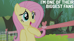 Size: 1920x1080 | Tagged: safe, edit, edited screencap, editor:quoterific, screencap, fluttershy, pegasus, pony, filli vanilli, g4, my little pony: friendship is magic, cute, female, hoof on chest, mare, open mouth, open smile, shyabetes, smiling, solo