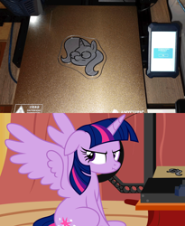 Size: 2360x2880 | Tagged: safe, artist:badumsquish, derpibooru exclusive, trixie, twilight sparkle, alicorn, pony, unicorn, 3d print, 3d printer, :t, female, floppy ears, glare, golden oaks library, inconvenient trixie, irl, looking away, mare, photo, ponies in real life, show accurate, sitting, solo, spread wings, style emulation, twilight sparkle (alicorn), twilight sparkle is not amused, unamused, wings, woonoggles