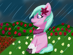 Size: 2400x1800 | Tagged: safe, artist:php176, derpibooru exclusive, dahlia, earth pony, pony, g5, bush, clothes, cloud, cloudy, coat markings, dirt, female, flower, flower in hair, garden, grass, happy, lineless, mare, peaceful, rain, rose, scarf, shading, shading practice, smiling, socks (coat markings), solo, unshorn fetlocks, water, wet, wet mane