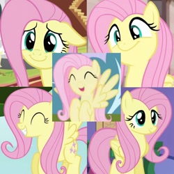 Size: 720x720 | Tagged: safe, edit, editor:megalobronia, screencap, fluttershy, pegasus, pony, daring don't, fluttershy leans in, friendship is magic, g4, season 1, season 4, season 5, season 7, the cutie map, the one where pinkie pie knows, ^^, collage, cute, eyes closed, female, floppy ears, folded wings, gritted teeth, happy, mare, shyabetes, smiling, spread wings, teeth, wings
