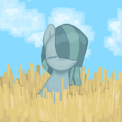 Size: 894x894 | Tagged: safe, artist:d7unlimited, marble pie, earth pony, pony, g4, cloud, content, eyes closed, female, field, hair over one eye, mare, solo