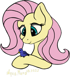 Size: 1793x1967 | Tagged: safe, artist:aquamuro, fluttershy, bird, pegasus, pony, g4, female, simple background, solo, transparent background