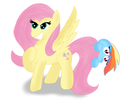 Size: 1280x1058 | Tagged: safe, artist:zeccy-zebra, fluttershy, rainbow dash, pegasus, pony, g4, duo, female, grin, hiding, mare, personality swap, ponytober, shy, simple background, smiling, transparent background