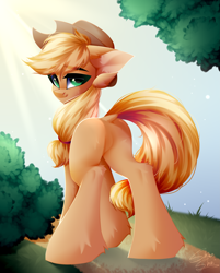 Size: 3221x4000 | Tagged: safe, artist:shinoshai, applejack, earth pony, pony, g4, applebutt, butt, dock, featureless crotch, female, fluffy, looking at you, looking back, looking back at you, mare, plot, solo, tail