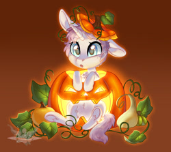 Size: 1920x1712 | Tagged: safe, artist:doekitty, part of a set, oc, oc only, oc:ezra, pony, unicorn, chibi, commission, female, halloween, holiday, jack-o-lantern, mare, one ear down, pumpkin, solo, ych result