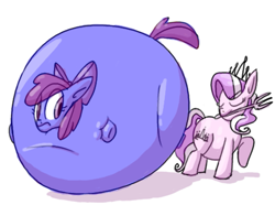 Size: 967x720 | Tagged: safe, artist:secretgoombaman12345, apple bloom, diamond tiara, earth pony, pony, ask chubby diamond, g4, blueberry inflation, chubby diamond, fat, female, filly, foal, fork, inflation, mouth hold, simple background, spherical inflation, this will end in tears, white background