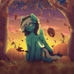Size: 3219x3233 | Tagged: safe, artist:angie imagines, oc, oc only, oc:euro, pegasus, pony, autumn, chest fluff, commission, ear fluff, falling leaves, female, grass, heterochromia, high res, leaves, mare, pegasus oc, pumpkin, solo, sunset, tree, wings