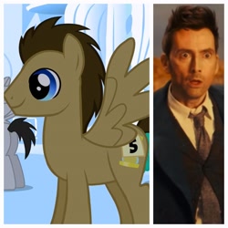 Size: 2880x2880 | Tagged: safe, doctor whooves, time turner, pegasus, pony, g4, clothes, comparison, david tennant, doctor who, fourteenth doctor, high res, necktie, op is a slowpoke, overcoat, shirt, spoilers for another series, tartan, tweed, waistcoat