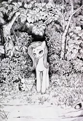 Size: 2224x3224 | Tagged: safe, artist:ph平和, angel bunny, fluttershy, pegasus, pony, g4, black and white, black and white cartoon, dark, dead tree, grass, grass field, grayscale, high res, junji ito, looking at you, monochrome, night, shrub, solo, traditional art, tree
