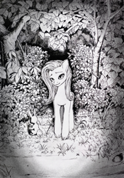Size: 3264x4676 | Tagged: safe, artist:ph平和, fluttershy, pegasus, pony, g4, black and white, black and white cartoon, dark, dead tree, grass, grass field, grayscale, junji ito, looking at you, monochrome, night, shrub, solo, traditional art, tree, vignette