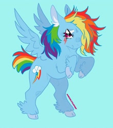 Size: 2200x2500 | Tagged: safe, artist:moonshade907, rainbow dash, pegasus, pony, g4, angry, cloven hooves, colored ear fluff, colored hooves, ear fluff, facial markings, feathered fetlocks, female, fetlock tuft, film grain, high res, lidded eyes, looking at you, mare, rearing, short tail, simple background, solo, tail, teal background
