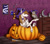 Size: 1280x1138 | Tagged: safe, artist:clouris, oc, oc only, bird, owl, pegasus, pony, snake, commission, deviantart watermark, duo, halloween, holiday, indoors, jack-o-lantern, obtrusive watermark, pegasus oc, poster, pumpkin, pumpkin bucket, smiling, watermark, wings, ych result