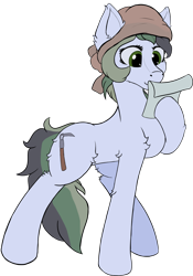 Size: 3417x4871 | Tagged: safe, artist:aquamuro, oc, oc only, oc:dusty soil, earth pony, pony, cute, ear fluff, earth pony oc, female, fluffy, mare, oda 997, paper, raised hoof, reading, simple background, sketch, solo, transparent background