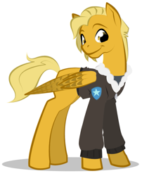 Size: 567x701 | Tagged: safe, artist:askmerriweatherauthor, oc, oc only, oc:meadow lark (ask merriweather), pegasus, pony, bomber jacket, clothes, jacket, older, simple background, solo, white background