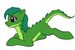 Size: 1024x685 | Tagged: safe, artist:shaliwolf, oc, dracony, dragon, hybrid, raised tail, simple background, solo, tail, transparent background