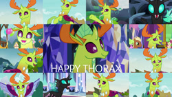 Size: 1191x671 | Tagged: safe, edit, edited screencap, editor:quoterific, screencap, daisy, flower wishes, meadow song, thorax, changedling, changeling, pony, celestial advice, g4, season 6, season 7, the times they are a changeling, to change a changeling, to where and back again, triple threat, background pony, cute, female, grin, happy, king thorax, male, mare, smiling, stallion, thorabetes
