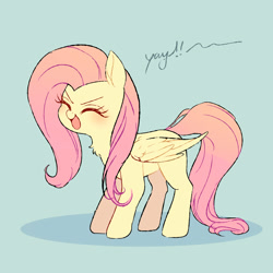 Size: 2000x2000 | Tagged: safe, artist:matcha_neko_413, fluttershy, pegasus, pony, g4, sonic rainboom (episode), blushing, cheering, chest fluff, cute, eyes closed, female, flutteryay, folded wings, full body, high res, mare, open mouth, shyabetes, simple background, solo, standing, teal background, wings, yay