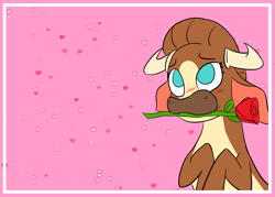 Size: 3500x2500 | Tagged: safe, alternate version, artist:jsacos, madison (tfh), cow, them's fightin' herds, blushing, community related, female, flower, flower in mouth, high res, horns, mouth hold, rose, rose in mouth, solo, textless, valentine's day card