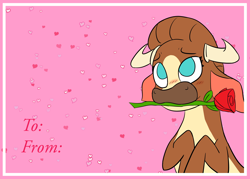 Size: 3500x2500 | Tagged: safe, alternate version, artist:jsacos, madison (tfh), cow, them's fightin' herds, blushing, community related, female, flower, flower in mouth, high res, horns, mouth hold, rose, rose in mouth, solo, text, valentine's day card