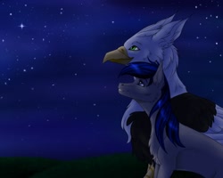 Size: 1280x1024 | Tagged: safe, artist:clouris, oc, oc only, earth pony, griffon, pony, chest fluff, duo, earth pony oc, griffon oc, night, outdoors, smiling, stars