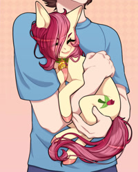 Size: 1200x1500 | Tagged: safe, artist:takic, roseluck, human, pony, behaving like a cat, collar, commission, commissioner:doom9454, cute, duo, eyes closed, holding a pony, pet tag, pony pet, rosepet