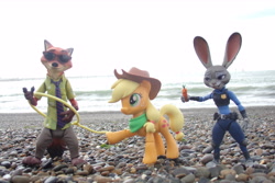 Size: 4608x3072 | Tagged: safe, artist:dingopatagonico, applejack, earth pony, fox, pony, rabbit, g4, animal, judy hopps, lasso, nick wilde, photo, rope, zootopia