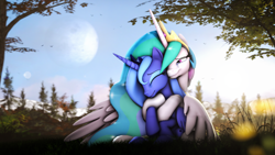 Size: 7680x4320 | Tagged: safe, artist:lagmanor, princess celestia, princess luna, alicorn, pony, g4, 3d, absurd file size, absurd resolution, crown, crying, cute, cutelestia, eyes closed, female, flower, forest, forest background, grass, horn, hug, hug from behind, jewelry, looking at each other, looking at someone, lunabetes, magic, magic horn, moon, not shipping, regalia, reunion, royal sisters, s1 luna, siblings, sisters, sitting, smiling, source filmmaker, sunlight, tears of joy, teary eyes, tree, tree branch, wholesome