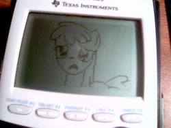 Size: 640x480 | Tagged: safe, artist:gigglesplat, berry punch, berryshine, earth pony, pony, g4, the super speedy cider squeezy 6000, calculator, female, graphing calculator, irl, mare, photo, reddit, sad, solo, table, texas instruments