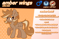 Size: 640x432 | Tagged: safe, artist:foxtrnal, oc, oc only, oc:amber wings, oc:max, pegasus, pony, abstract background, astraphobia, cutie mark, dyspraxia, fluffy, freckles, male, pegasopolis, pegasus oc, pegasus tribe, reddit, reference sheet, solo, stallion