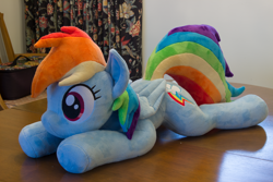 Size: 5184x3456 | Tagged: safe, artist:azgchip, rainbow dash, pegasus, pony, g4, cute, dashabetes, female, folded wings, irl, lying down, mare, photo, plushie, prone, solo, sploot, table, wings