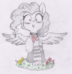 Size: 1952x1989 | Tagged: safe, artist:foxtrot3, oc, oc only, oc:sock, pegasus, pony, choker, clothes, flower, red eyes, smiling, socks, solo, striped socks, traditional art