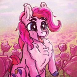 Size: 2000x2000 | Tagged: safe, artist:br0via, pinkie pie, earth pony, pony, g4, chest fluff, cute, diapinkes, female, flower, flower field, high res, mare, open mouth, solo, tongue out