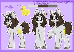 Size: 1055x750 | Tagged: safe, artist:madkadd, oc, oc only, oc:parsley, bird, duck, pony, chest fluff, eyelashes, female, mare, raised hoof, reference sheet, smiling, unshorn fetlocks