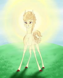 Size: 1280x1573 | Tagged: safe, artist:clouris, oc, oc only, earth pony, pony, colored hooves, deviantart watermark, earth pony oc, grin, obtrusive watermark, outdoors, smiling, solo, watermark