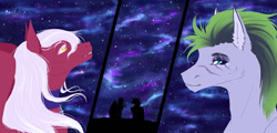 Size: 1080x518 | Tagged: safe, artist:clouris, oc, oc only, earth pony, pegasus, pony, aurora borealis, bust, duo, ear fluff, eye scar, facial scar, scar, stars