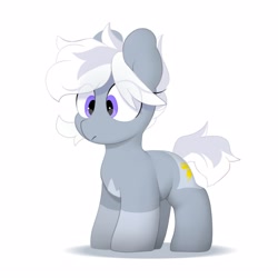 Size: 2500x2500 | Tagged: safe, artist:mochi_nation, oc, oc only, oc:silver bolt, earth pony, pony, coat markings, eye clipping through hair, female, high res, mare, simple background, solo, white background