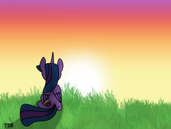 Size: 2160x1620 | Tagged: safe, artist:twidasherboop, oc, oc:midnight moonstar, alicorn, pony, colored wings, gradient wings, signature, sunset, wings
