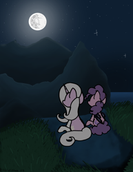 Size: 2550x3300 | Tagged: safe, artist:bloodysticktape, oc, oc:beetard, oc:floports, high res, moon