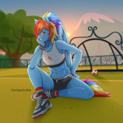 Size: 1280x1280 | Tagged: dead source, safe, artist:centipede.bat, rainbow dash, pegasus, anthro, g4, abs, bandaid, bandaid on nose, clothes, cutie mark on clothes, delicious flat chest, fence, folded wings, full body, hand on chin, hand on hip, looking at you, midriff, mountain, muscles, nonbinary, outdoors, rainbow flat, rainbow socks, shading, shoes, shorts, sitting, smiling, smiling at you, soccer field, socks, solo, sports bra, sports shoes, sports shorts, striped socks, sunset, tail, tank top, tomboy, tree, wings, wristband
