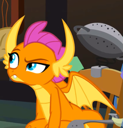Size: 699x728 | Tagged: safe, screencap, smolder, dragon, a horse shoe-in, g4, cropped, dragoness, female, raised eyebrow, solo
