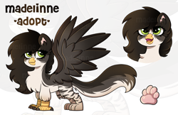 Size: 2545x1654 | Tagged: safe, artist:madelinne, oc, oc only, griffon, adoptable, female, griffon oc, reference sheet, solo