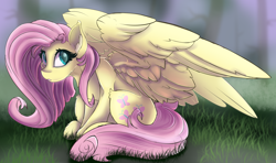Size: 2700x1600 | Tagged: safe, artist:starcasteclipse, fluttershy, pegasus, pony, aside glance, cheek fluff, ear fluff, female, grass, high res, large wings, looking at you, mare, open mouth, outdoors, sitting, sketch, slim, solo, spread wings, wings