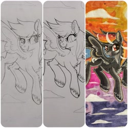 Size: 4096x4096 | Tagged: safe, artist:annuthecatgirl, oc, oc only, oc:anti-lag, pegasus, pony, solo, traditional art, wip