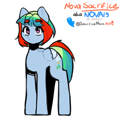 Size: 2400x2400 | Tagged: safe, artist:nova19, oc, oc only, oc:nova sacrifice, pegasus, pony, high res, pegasus oc, reference sheet, simple background, smol, solo, white background