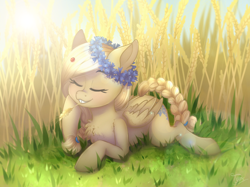 Size: 1300x970 | Tagged: safe, artist:toxiccolour, oc, oc only, oc:cornflower meadow, insect, ladybug, pegasus, pony, blushing, chest fluff, cute, eyes closed, female, floral head wreath, flower, food, grass, grin, lying down, mare, prone, smiling, solo, wheat